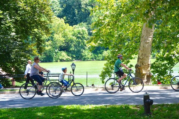 Persona adulta con bicicleta urbana en un parque iluminado por el sol