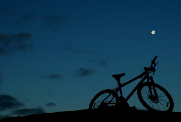 Bicicleta apoyada sobre una baranda con vegetación alrededor y luz cálida